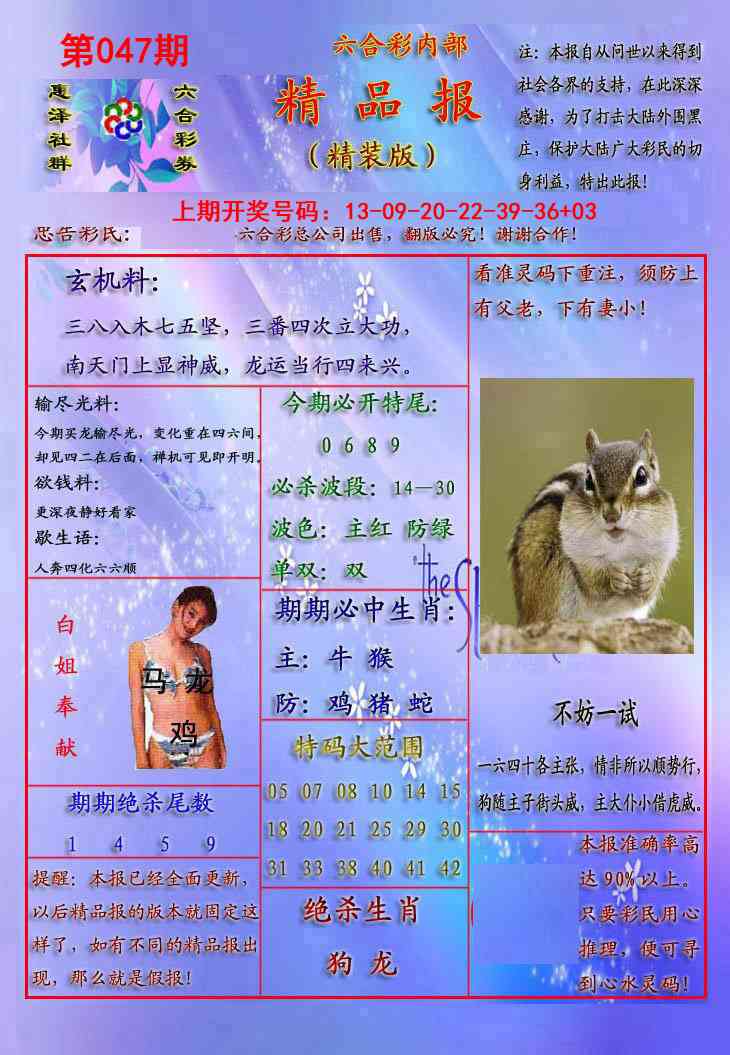 047期精品报[图]