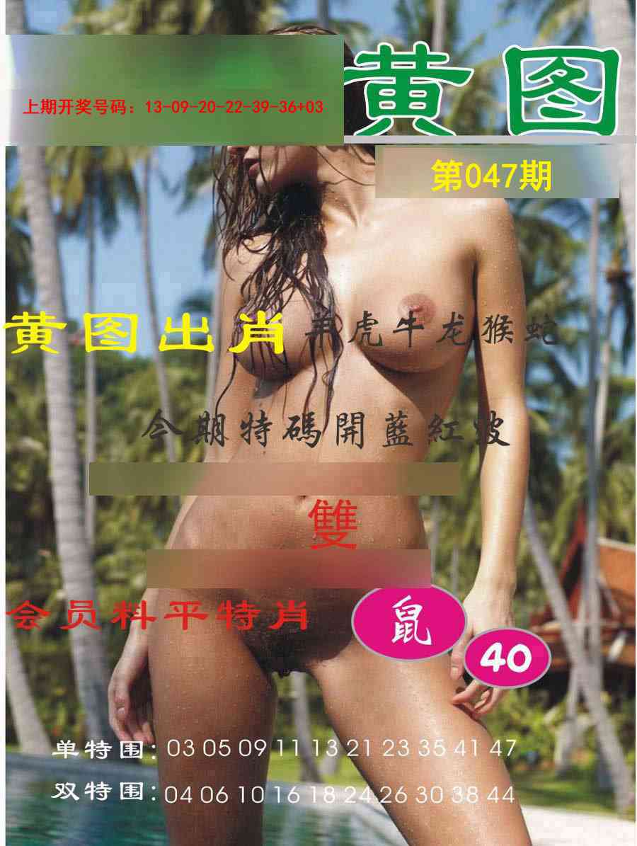047期黄图[图]