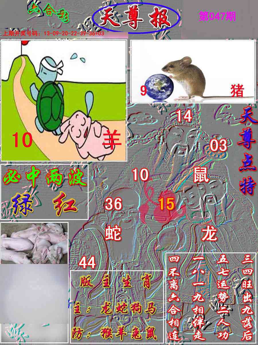047期天尊报[图]