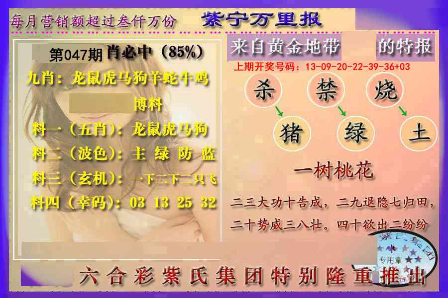 047期万里报[图]