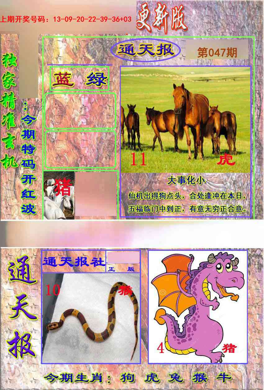 047期新通报[图]