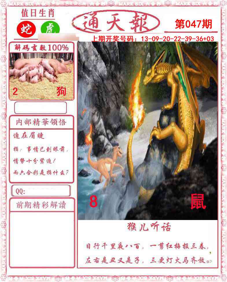 047期正版通天报[图]
