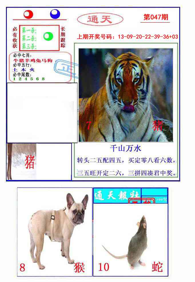 047期通天杀波图2[图]