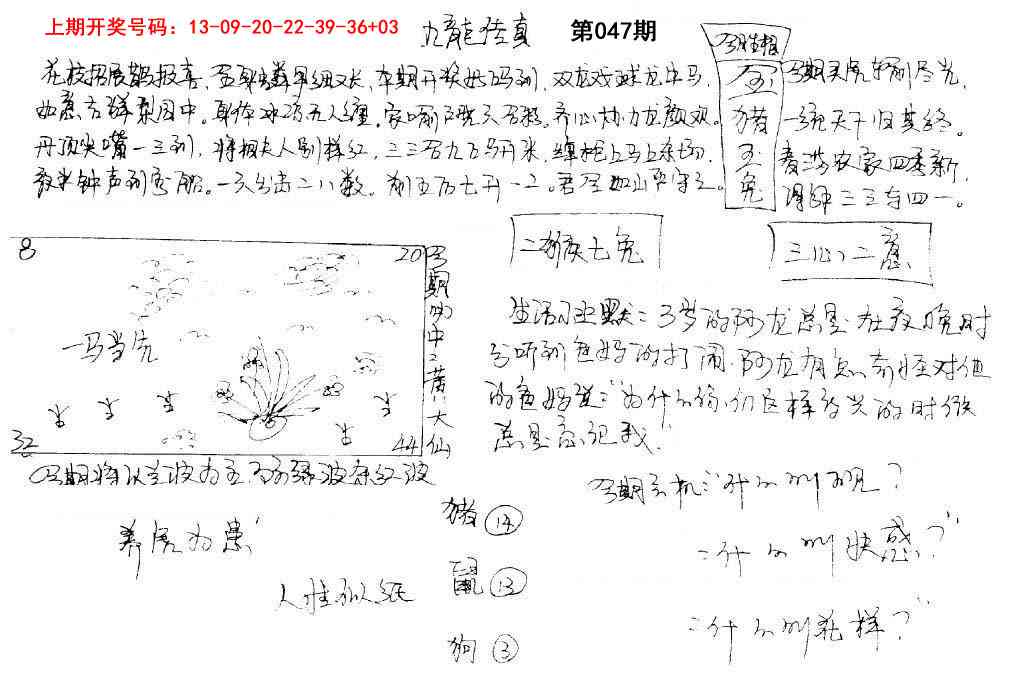 047期手写九龙内幕[图]