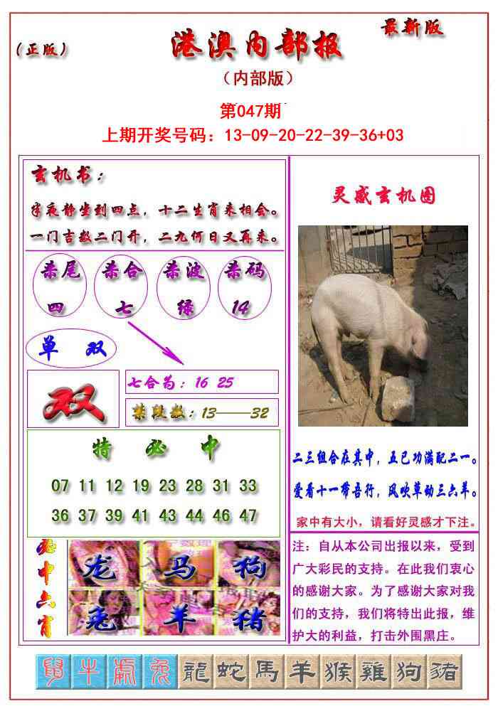 047期港澳报[图]