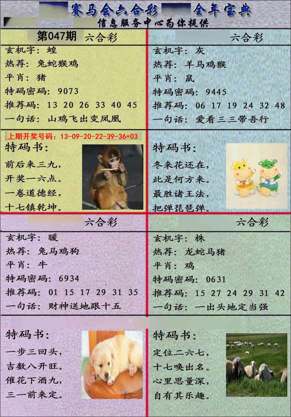 047期宝典报[图]