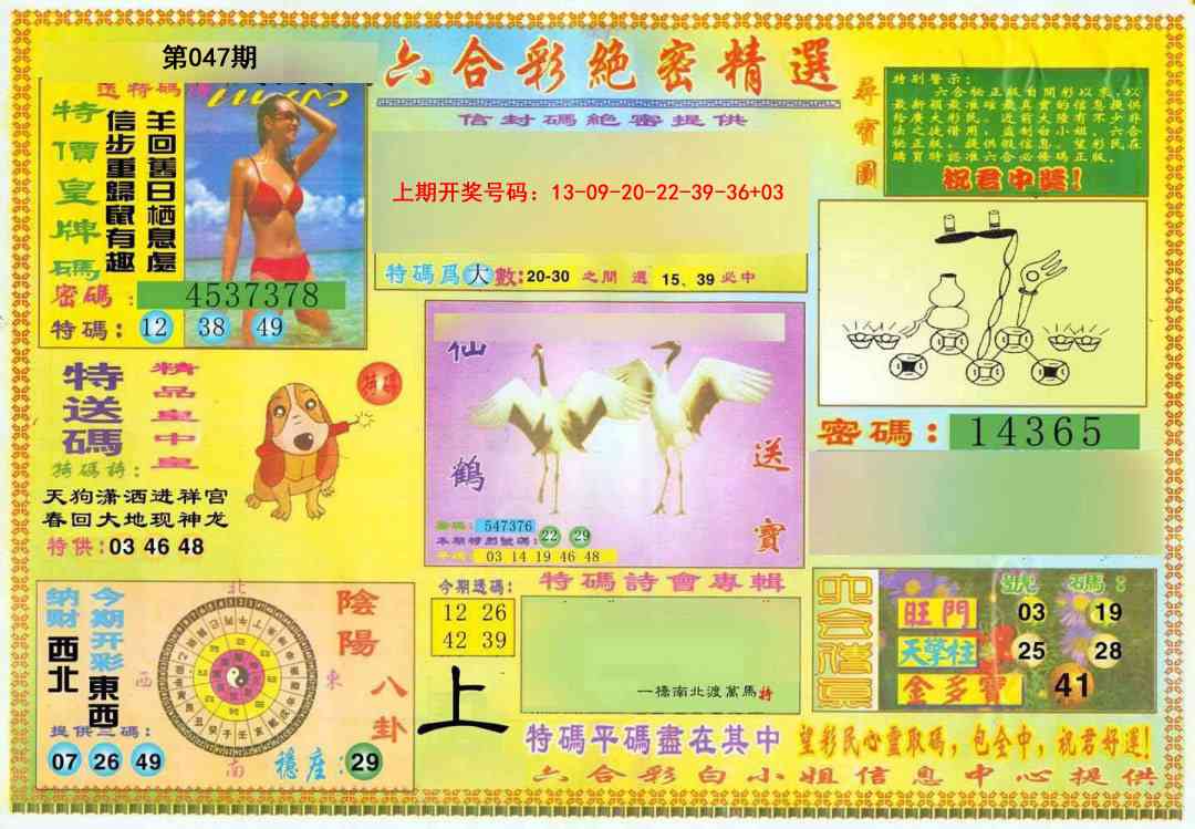 047期绝密精选A[图]