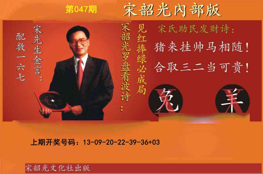 047期宋韶光内部版[图]