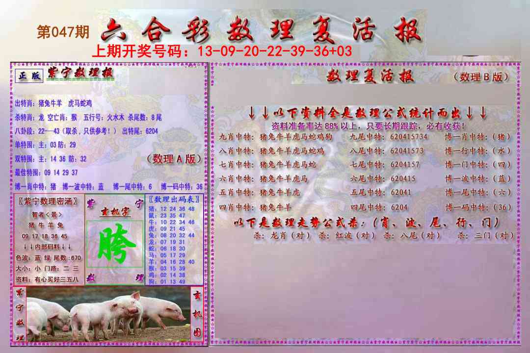 047期数理复活报[图]