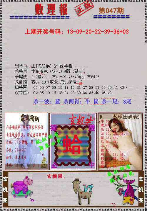 047期数理报[图]