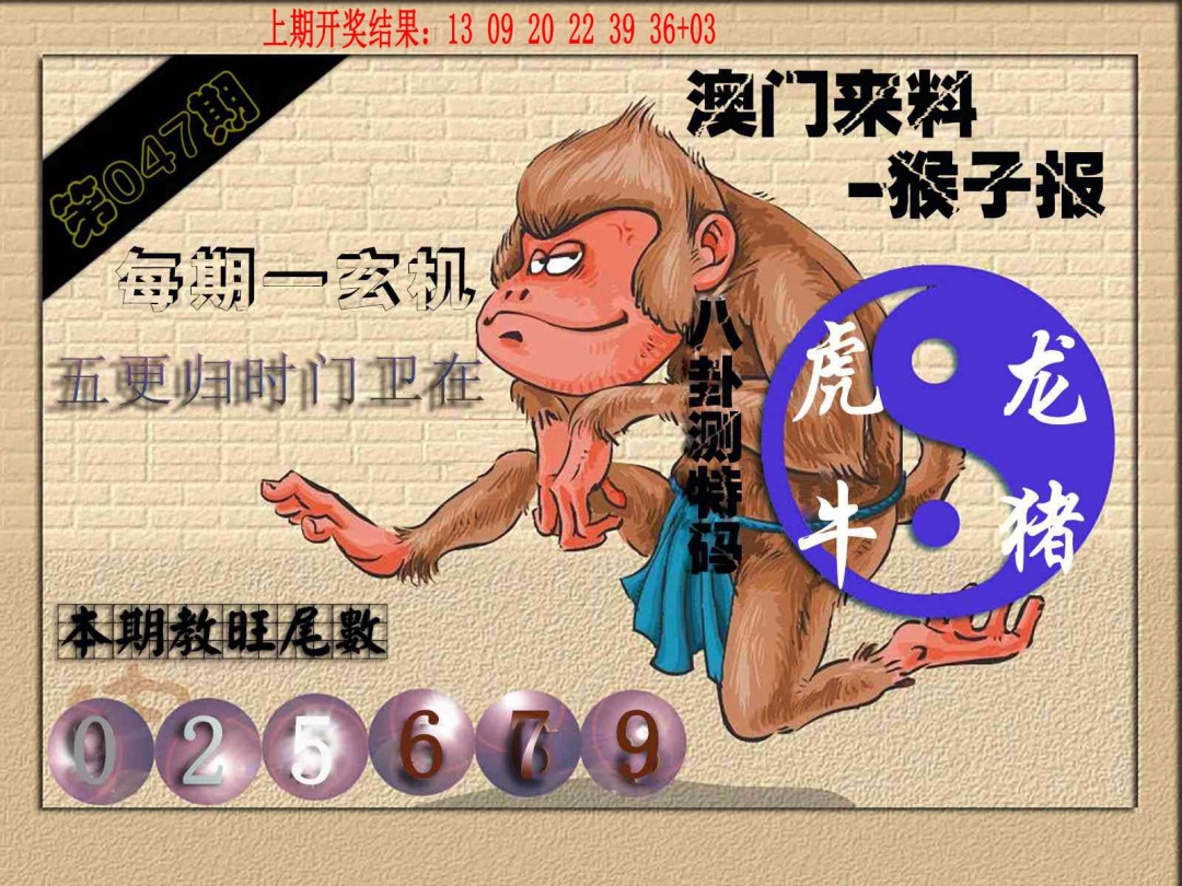 047期(来料)猴报[图]