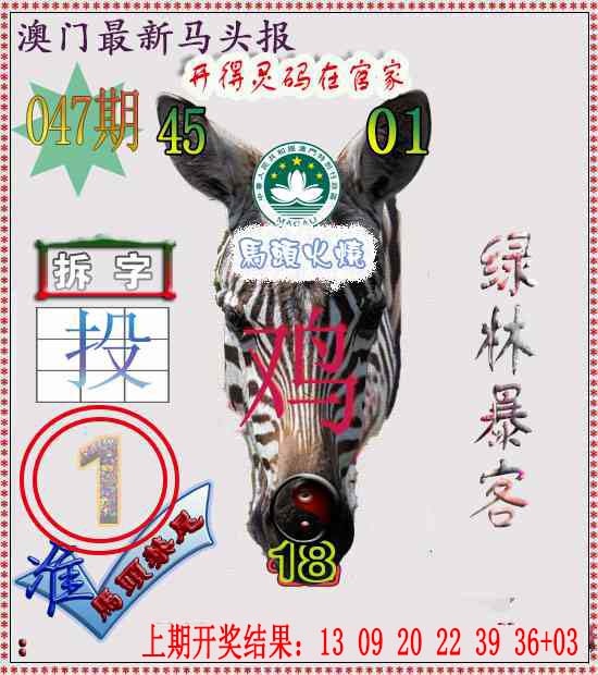 047期马头报[图]