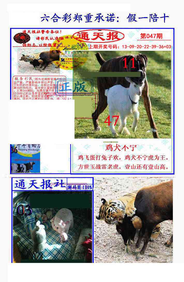 047期假一陪十通天报[图]