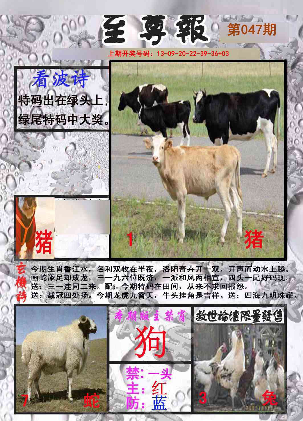 047期至尊报[图]