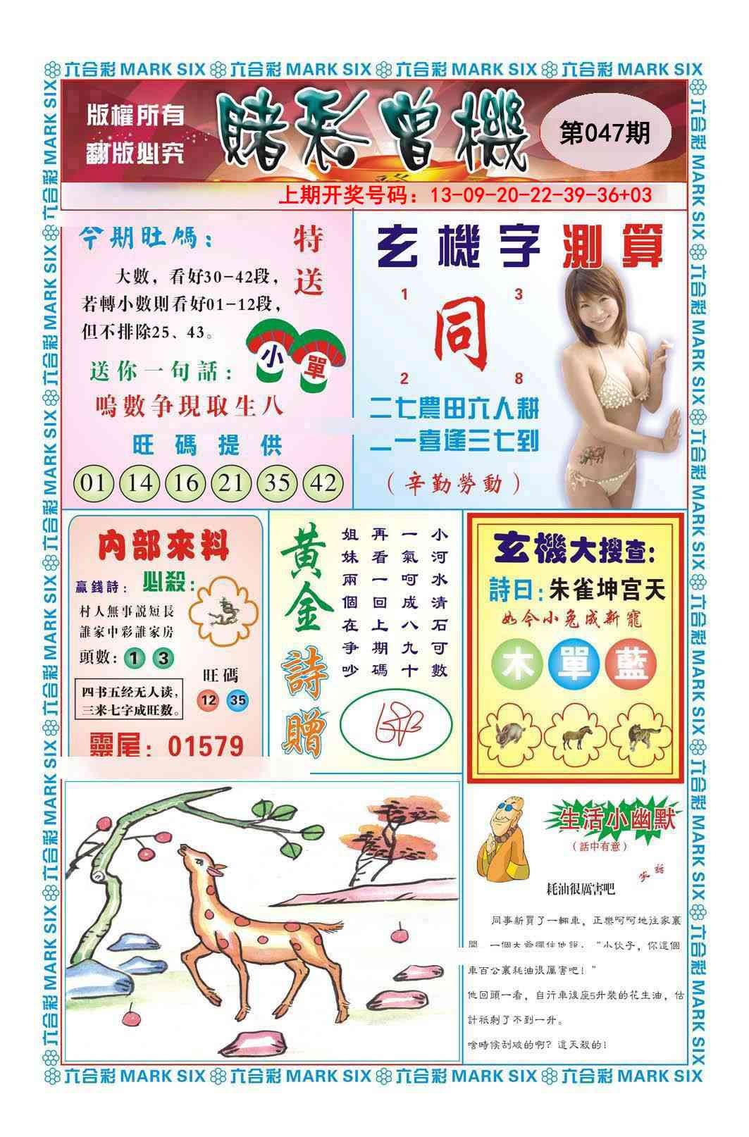 047期赌彩曾机[图]