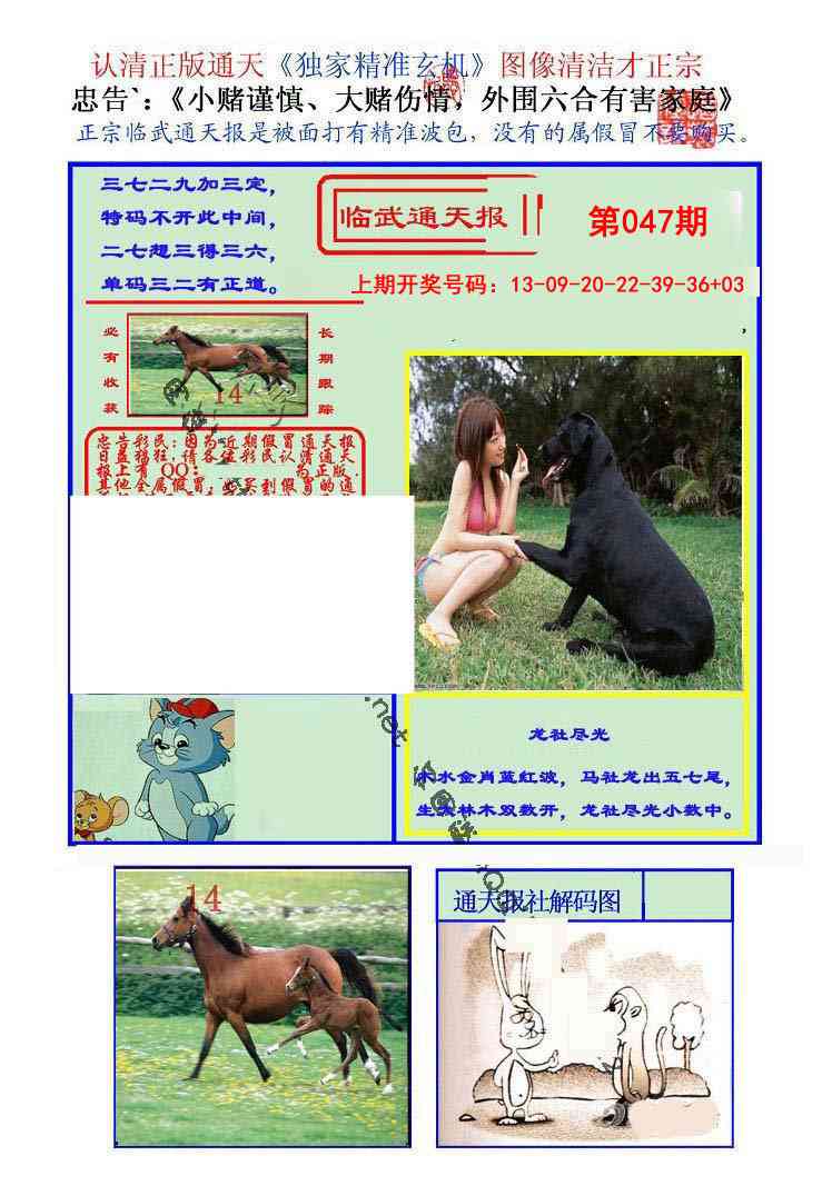 047期临武通天报[图]