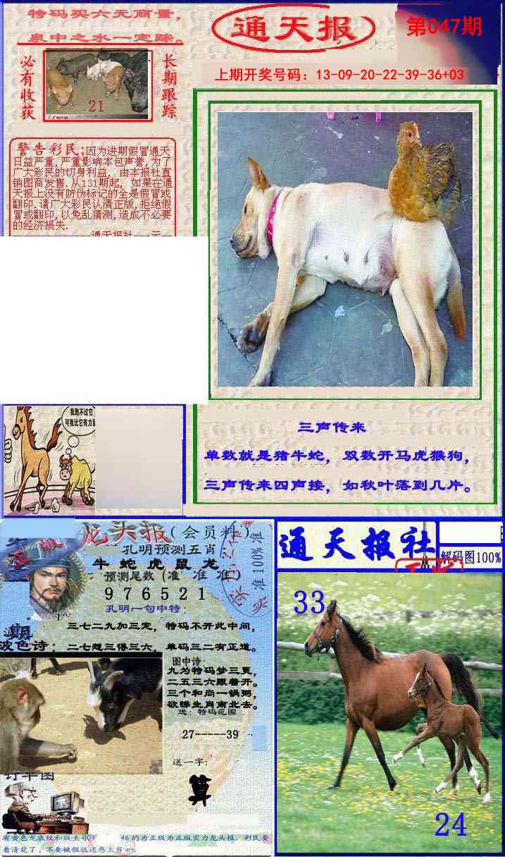 047期实力通天报[图]