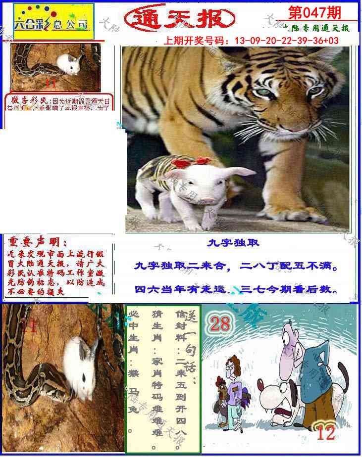 047期大陆通天报[图]