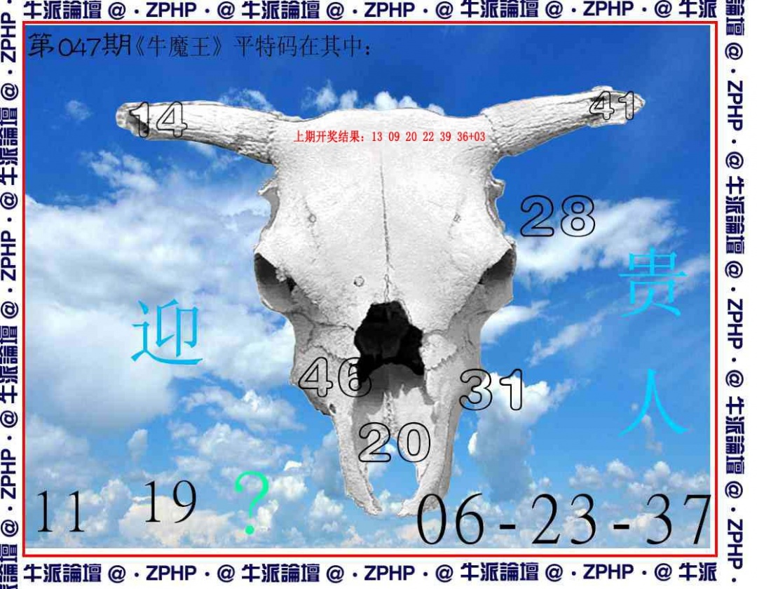 047期牛派系列8[图]