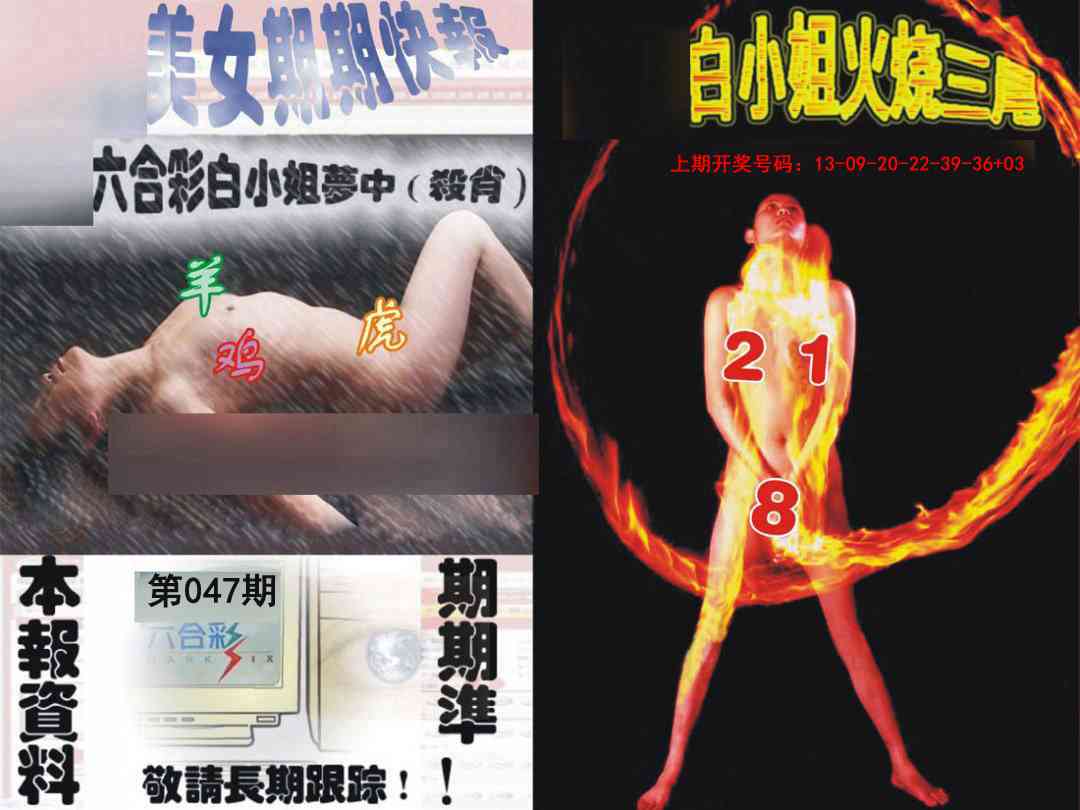 047期环球美女特码报[图]