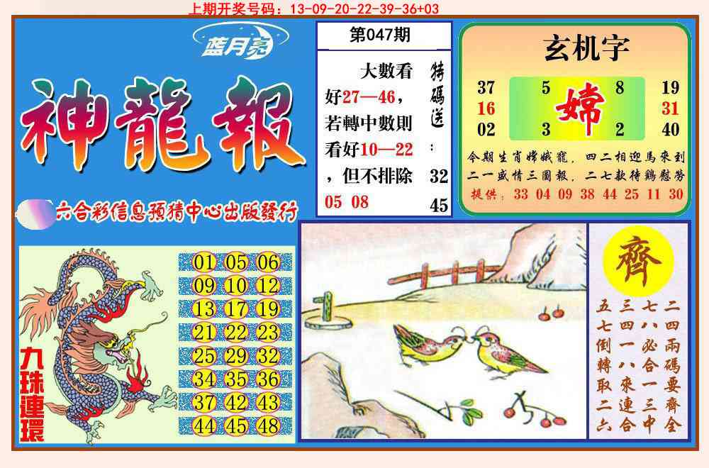 047期神龙报[图]