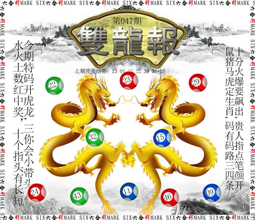 047期双龙报[图]