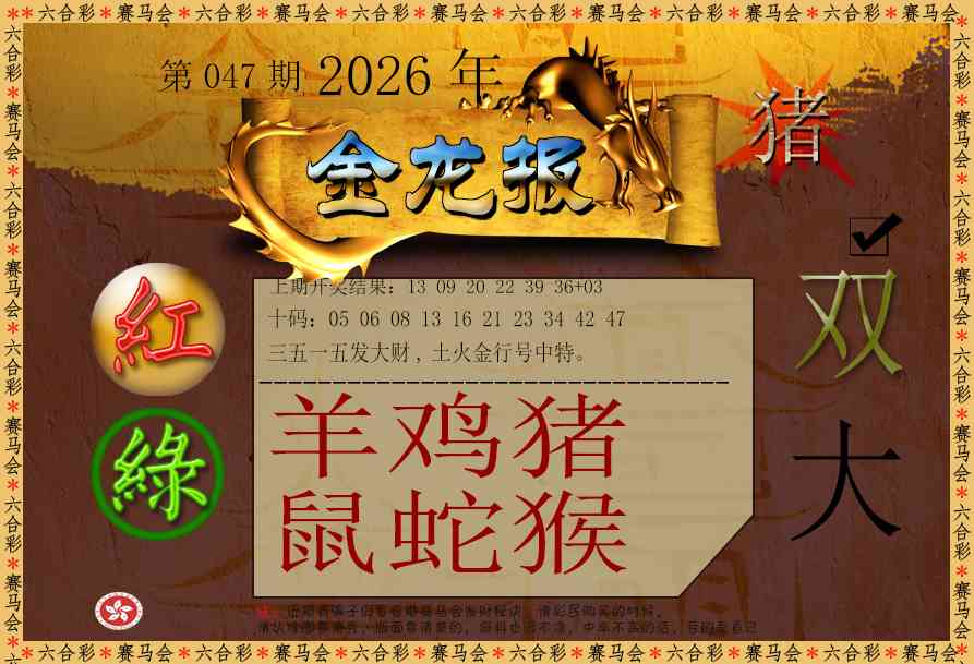 047期金龙报[图]