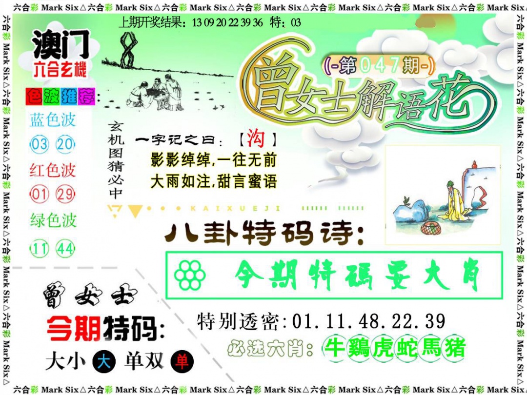 047期曾女士解语花[图]