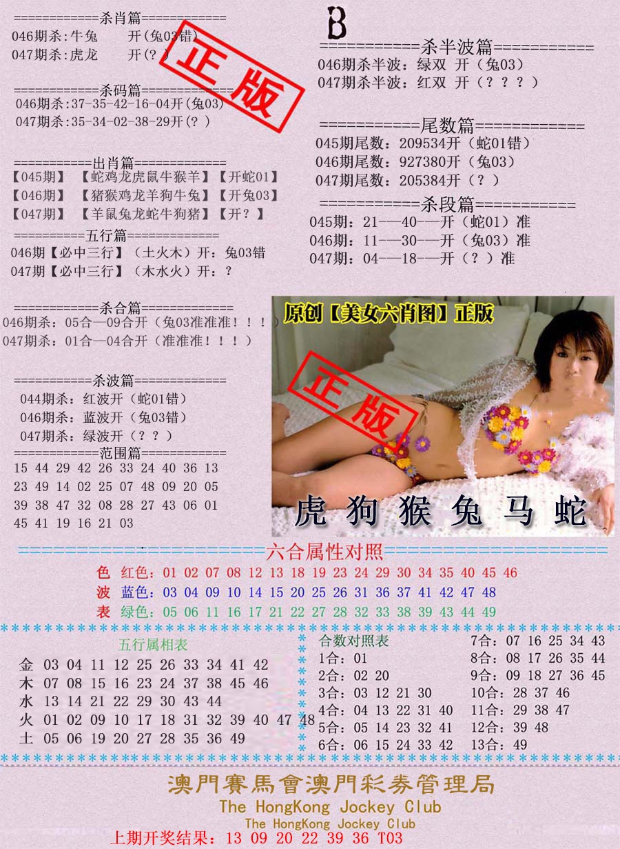 047期通缉令-2[图]