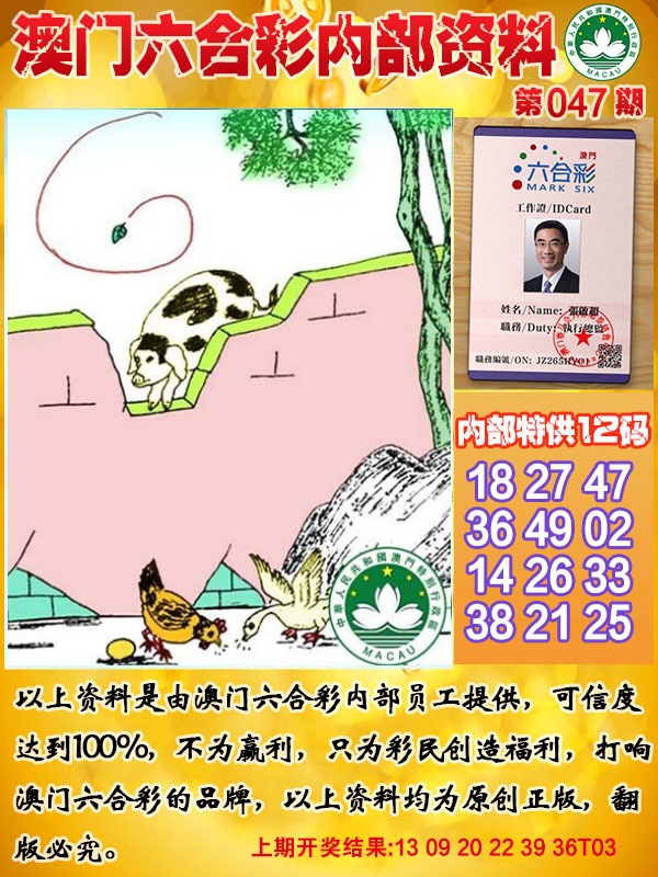 047期六合内部资料[图]