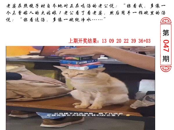 047期澳门生活幽默[图]