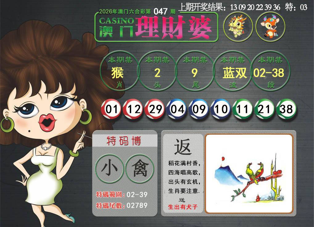 047期澳门理财婆[图]