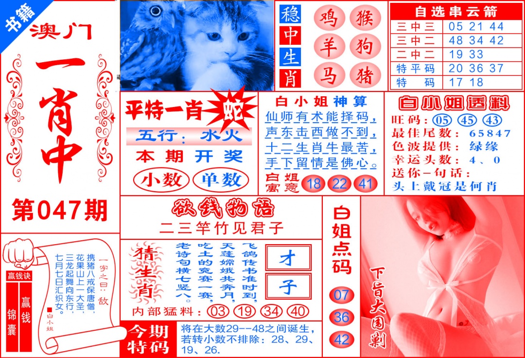 047期澳门锦囊宝典[图]