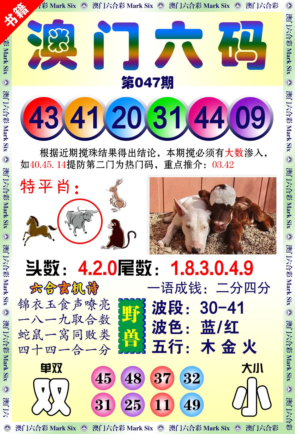 047期澳门望子成龙[图]