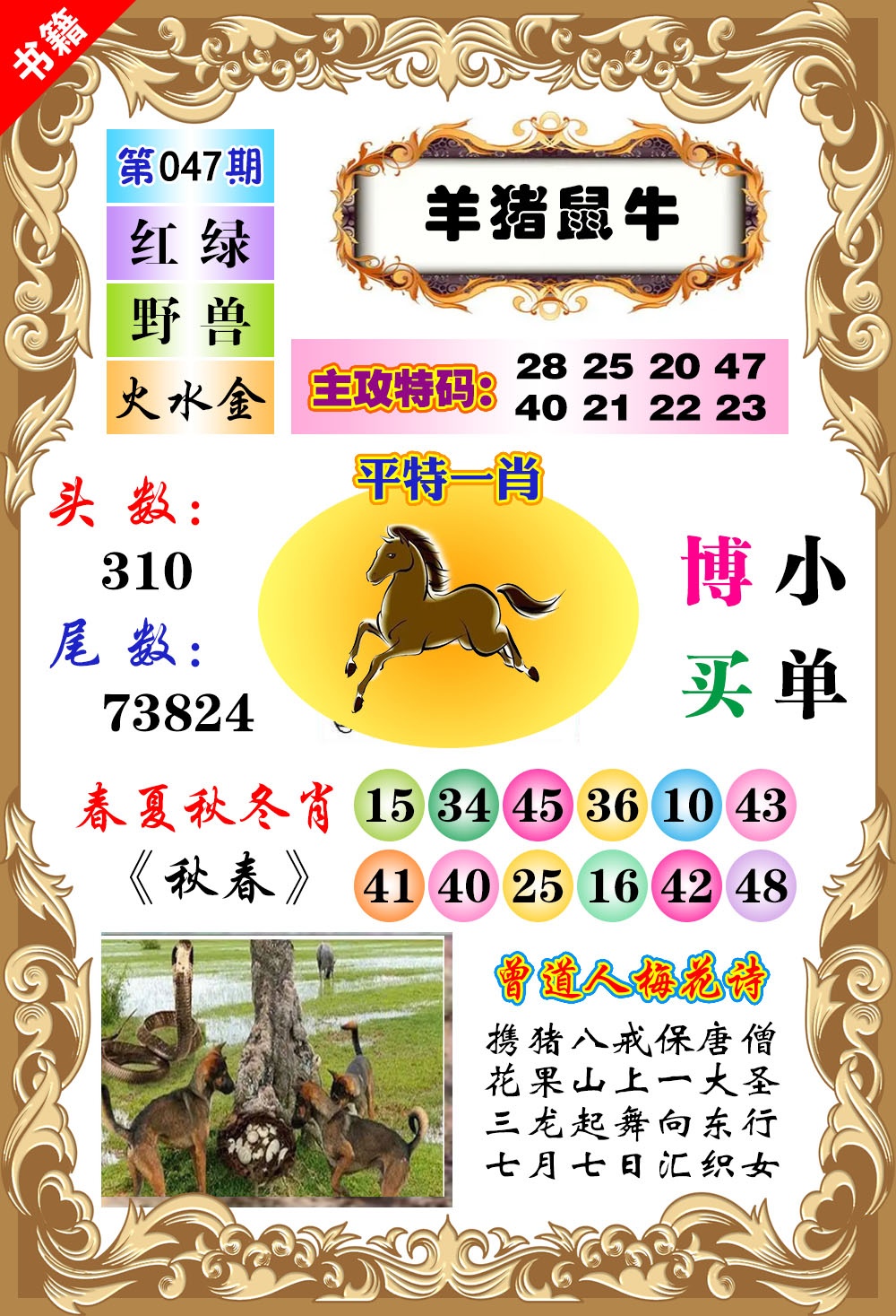 047期澳门特码旺[图]