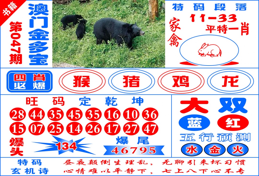 047期澳门金元宝[图]