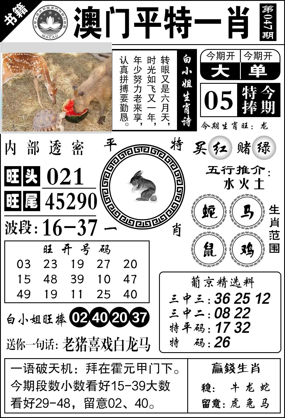 047期澳门内部透密[图]