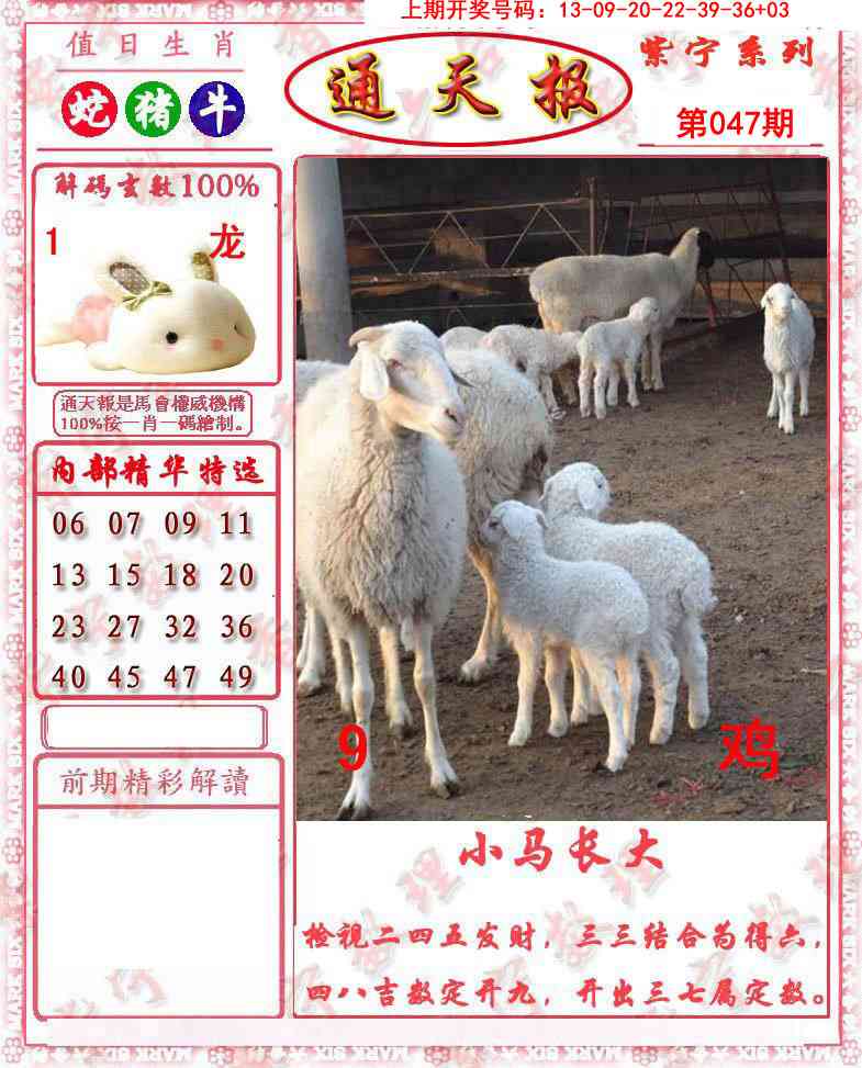 047期救通报[图]