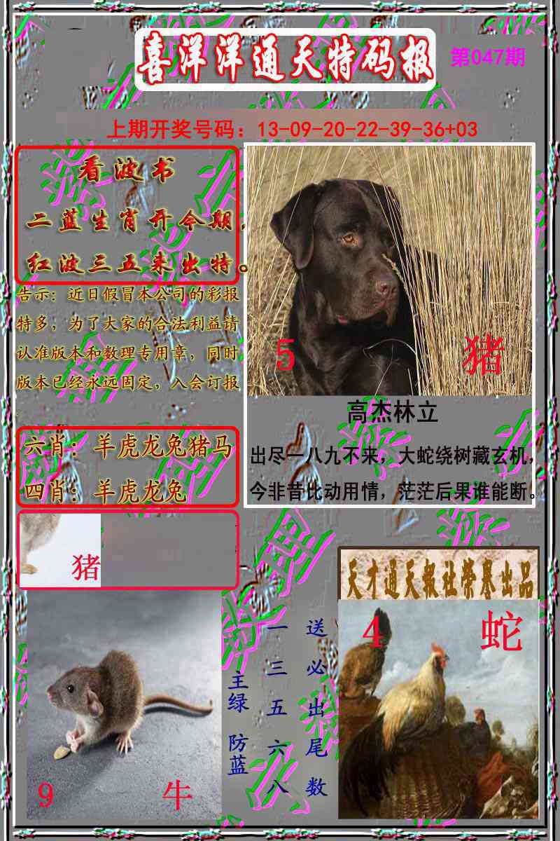 047期洋通报[图]