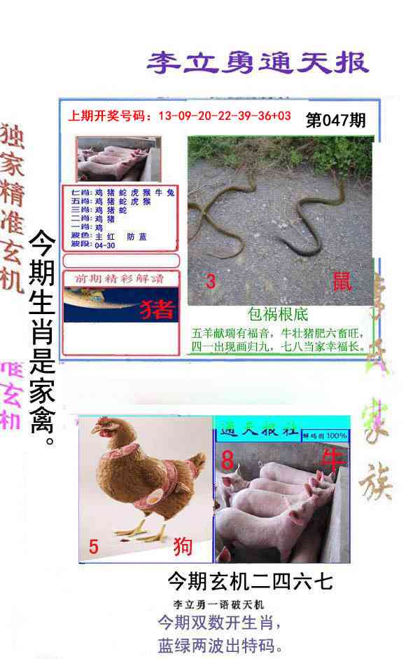 047期李立勇通天报[图]