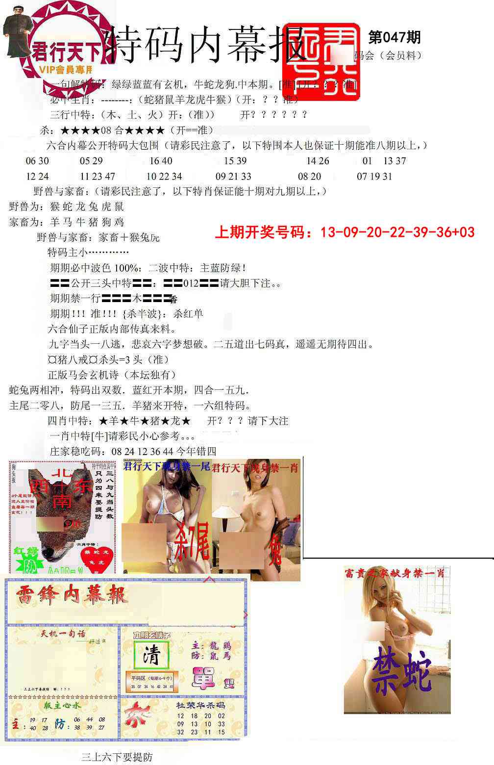 047期特码内幕报[图]