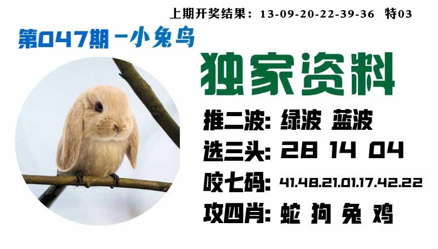 047期小兔鸟[图]