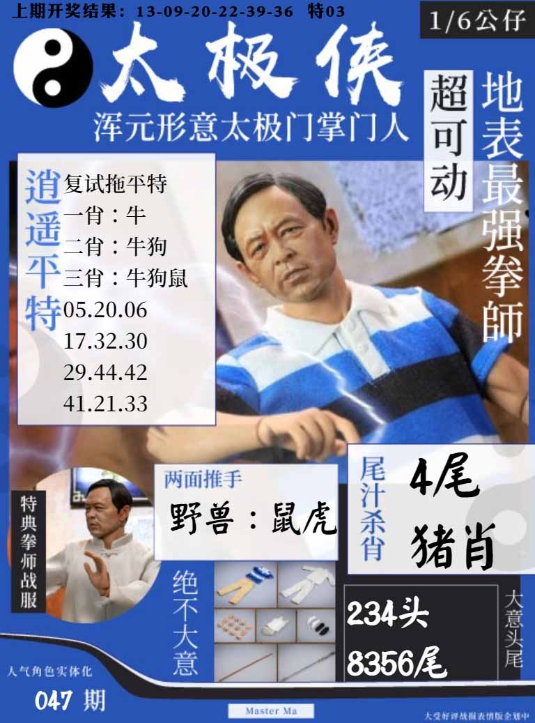 047期太极侠[图]